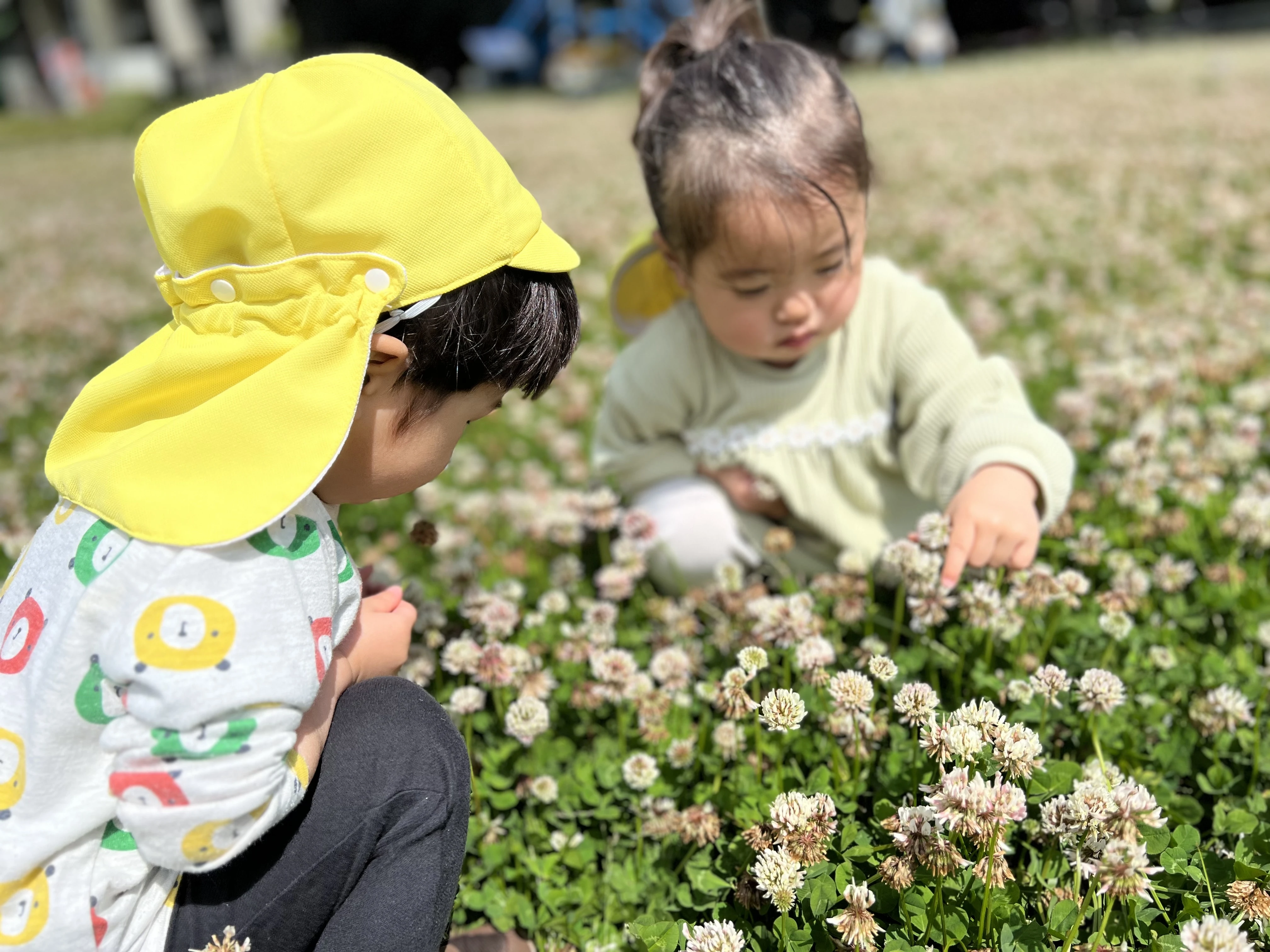 せんせいと,なかよくたのしく,おあそび,まなびもたのしく,こころすくすく